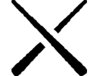 TT Icon
